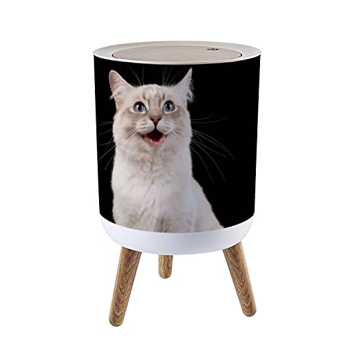 Küçük çöp tenekesi Kapaklı Portre Sevimli Ragdoll kedi Çığlık Siyah çöp tenekesi Yuvarlak çöp tenekesi Basın Kapak Köpek Geçirmez