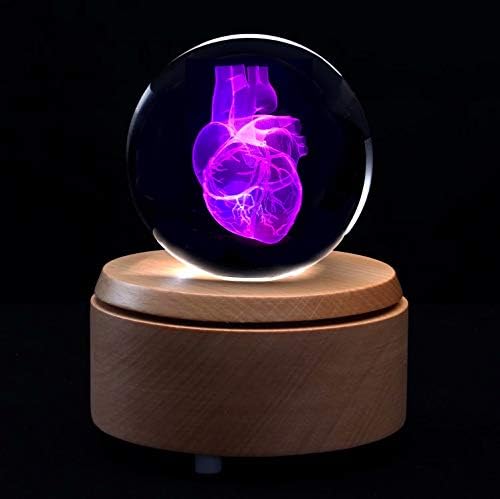 XINDAM 3D İnsan Kalp Anatomik Modeli Paperweight (Lazer Kazınmış) Kristal Cam Top Bilim Hediye (Dahil LED Taban)