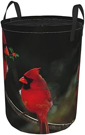 Kırmızı Kuşlar Fauna Vahşi Yuvarlak Tunik Kirli Cep Su Geçirmez Büyük Oxford Kumaş Katlanabilir Çamaşır Depolama Sepeti Kirli
