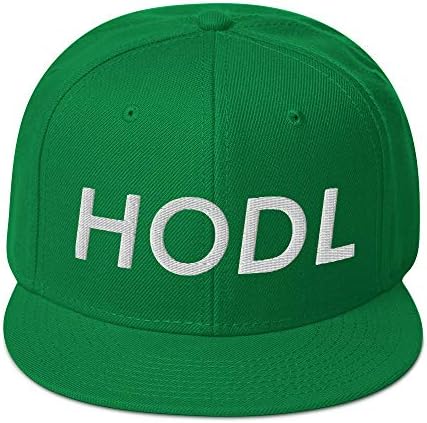Hogue WS LLC Kripto Meme HODL Şapka (İşlemeli Yün Karışımı Snapback Kap)