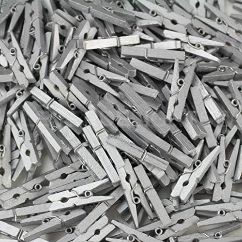 CleverDelights 1 1/8 Mini Ahşap Clothespins-Metalik Gümüş - 50 Paket