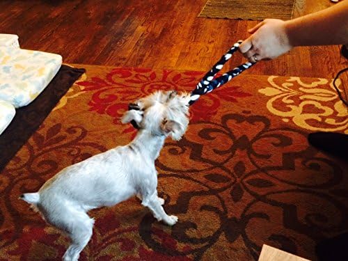 Köpek Oyuncak Made in USA - Römorkör Savaş Köpek Çiğnemek Oyuncak Interaktif Eğitim Aracı ve Diş Çıkarma Oyuncak (Mini Çay Fincanı