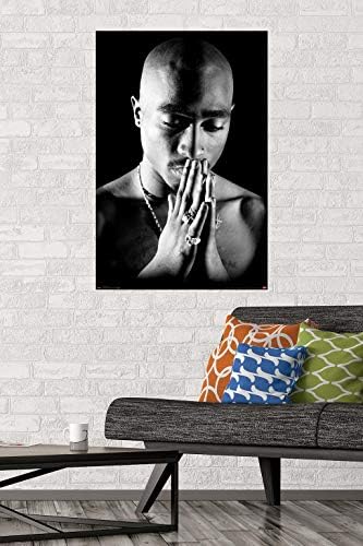 Trendler Uluslararası Tupac-Dua Dağı Duvar Posteri, 22.375 x 34, Poster ve Montaj Paketi