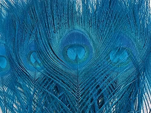 5 Parça – Turkuaz Mavi Ağartılmış ve Boyalı Tavuskuşu Kuyruk Göz Tüyleri 10-12 Uzun Cadılar Bayramı Zanaat Kaynağı / Mehtap Tüy